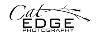 Cat Edge Photography